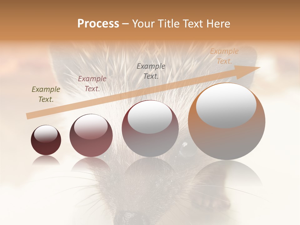 Unit Home Conditioner PowerPoint Template