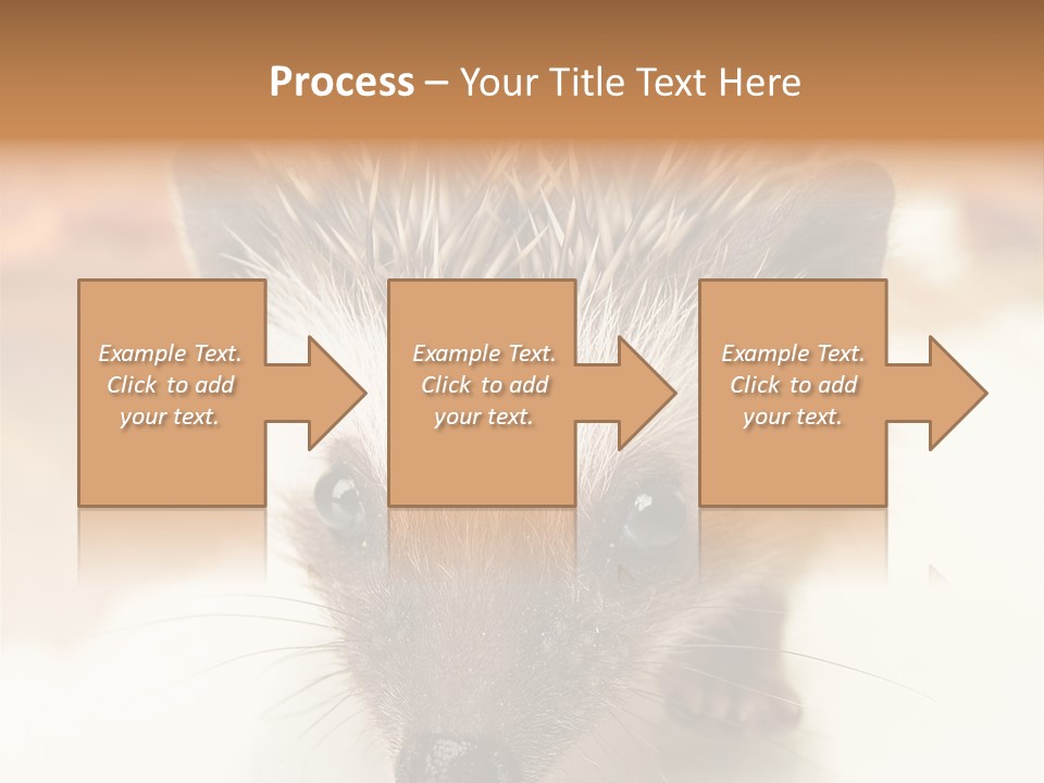 Unit Home Conditioner PowerPoint Template