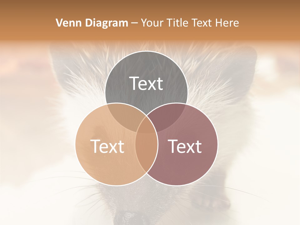 Unit Home Conditioner PowerPoint Template