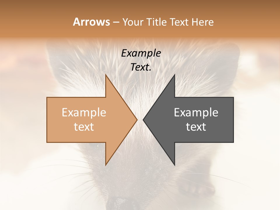 Unit Home Conditioner PowerPoint Template