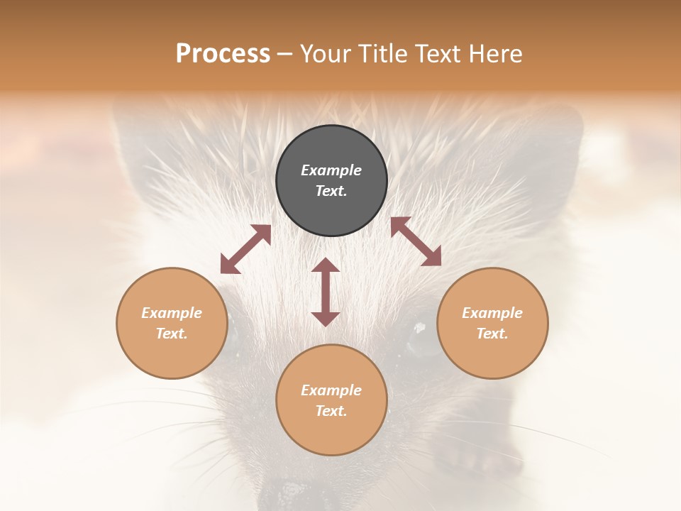 Unit Home Conditioner PowerPoint Template