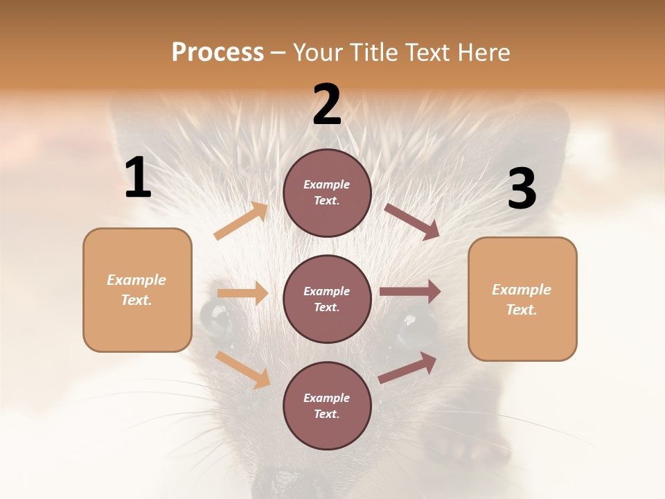 Unit Home Conditioner PowerPoint Template