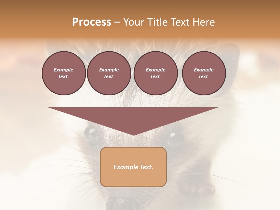 Unit Home Conditioner PowerPoint Template