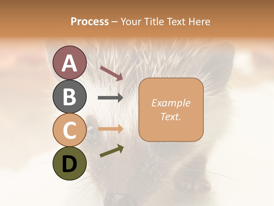 Unit Home Conditioner PowerPoint Template