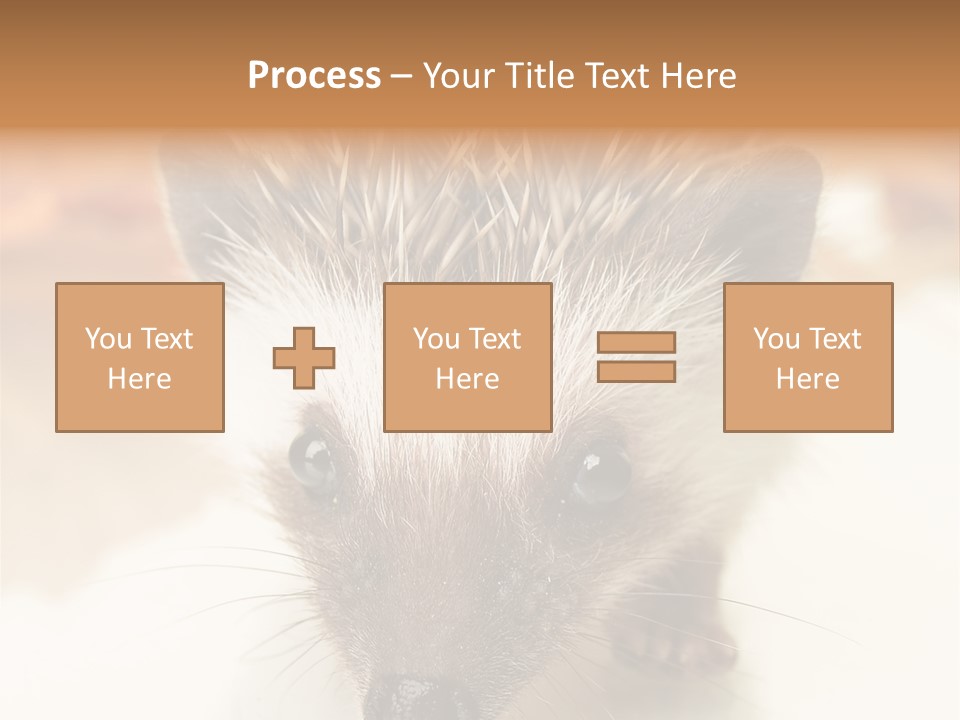 Unit Home Conditioner PowerPoint Template