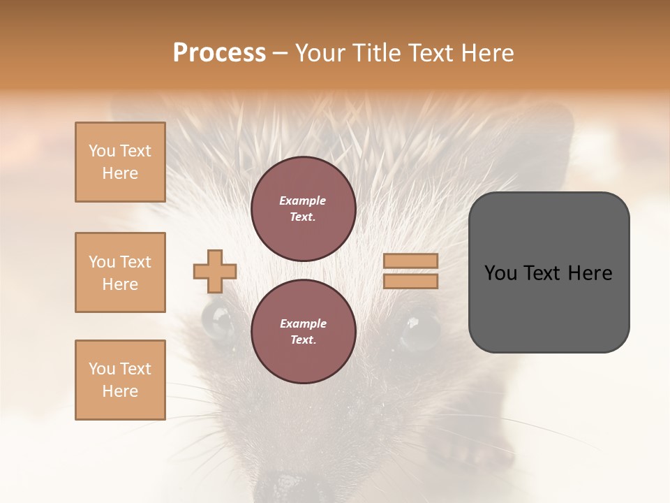Unit Home Conditioner PowerPoint Template