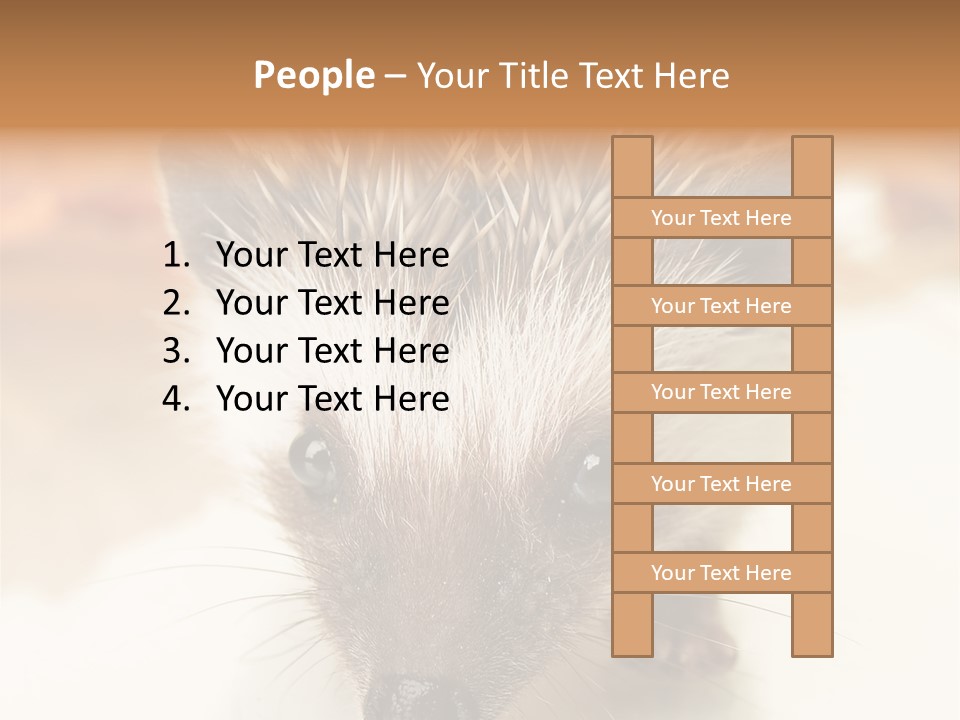 Unit Home Conditioner PowerPoint Template