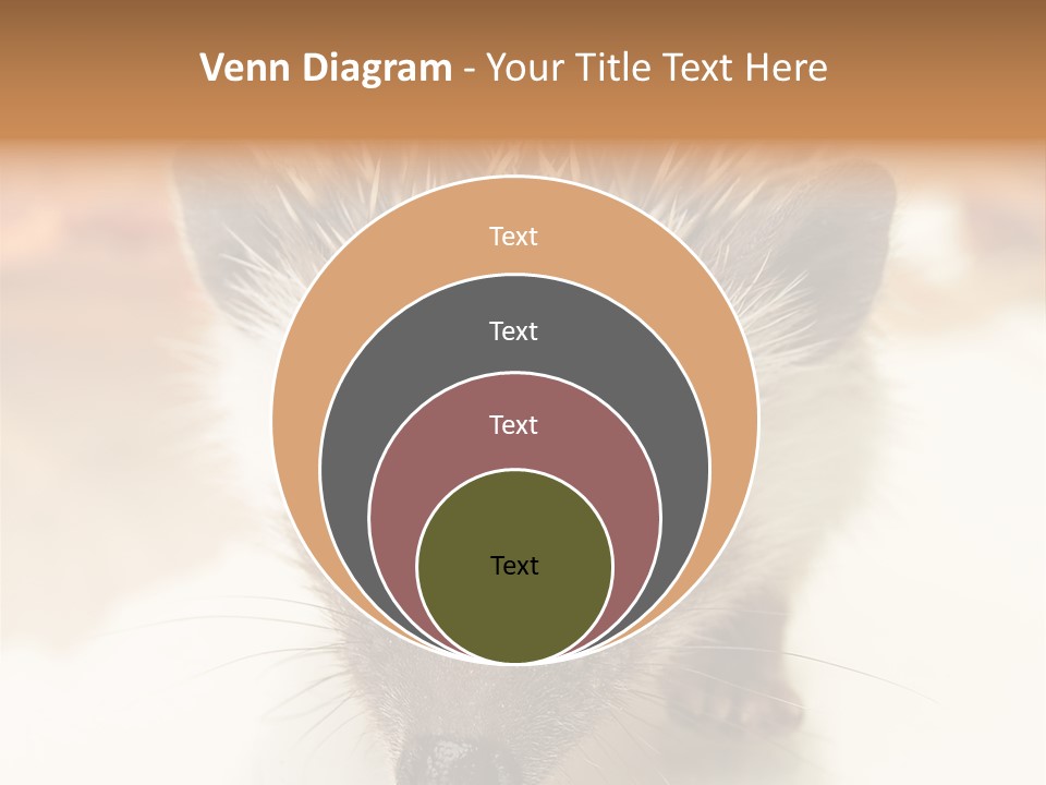 Unit Home Conditioner PowerPoint Template