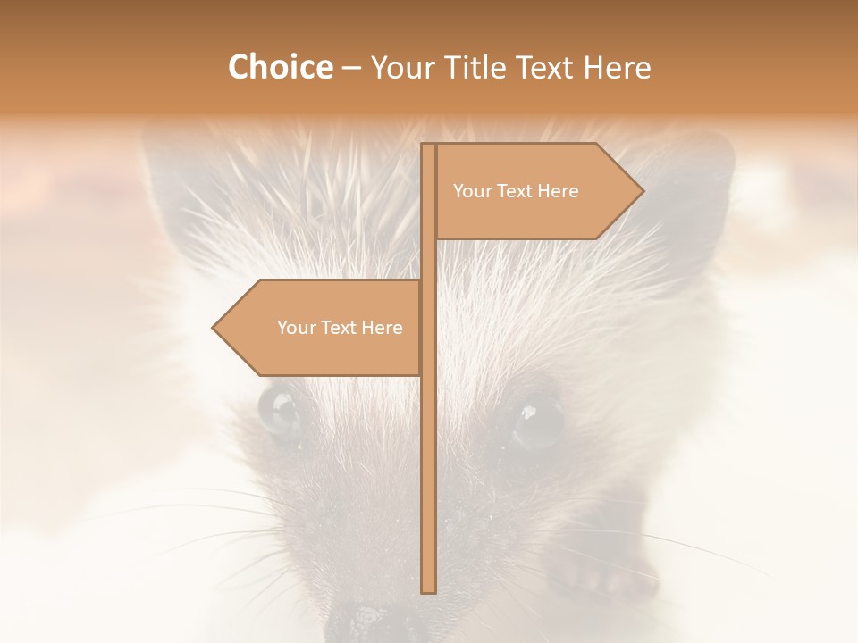 Unit Home Conditioner PowerPoint Template