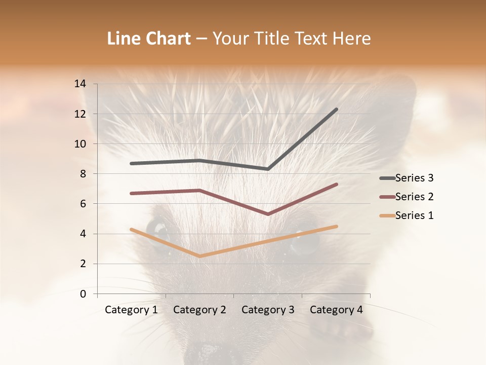 Unit Home Conditioner PowerPoint Template