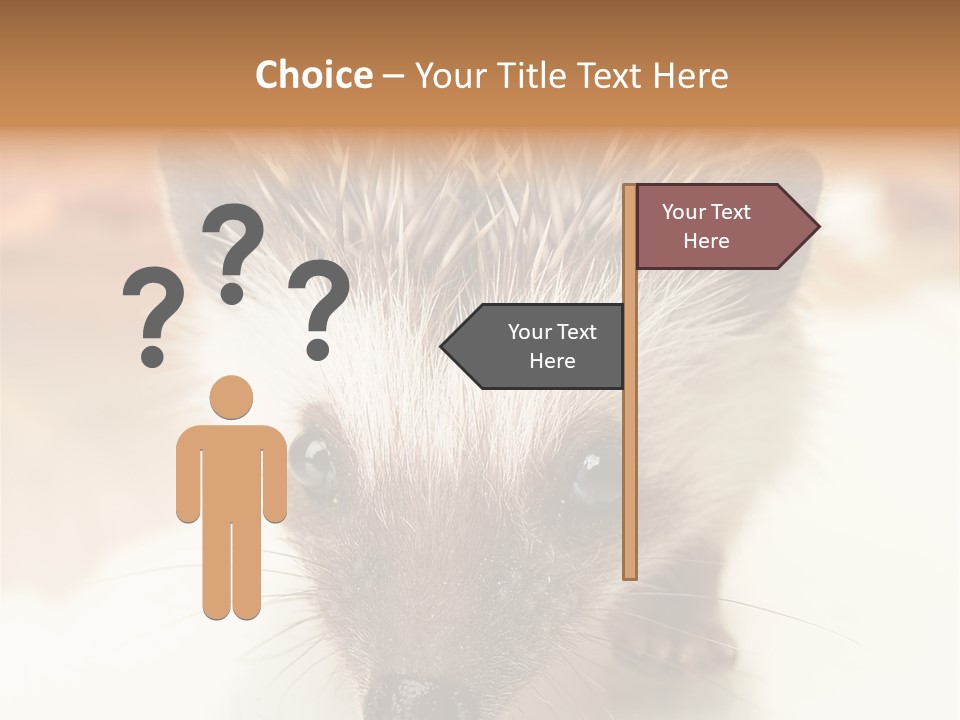 Unit Home Conditioner PowerPoint Template
