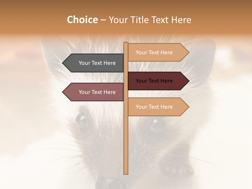 Unit Home Conditioner PowerPoint Template