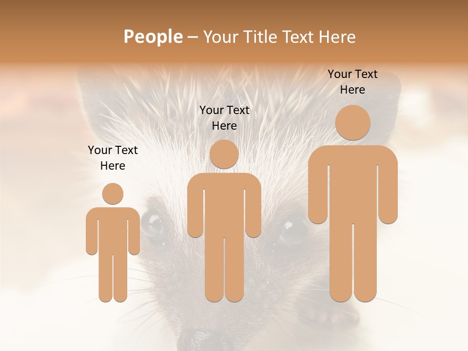 Unit Home Conditioner PowerPoint Template