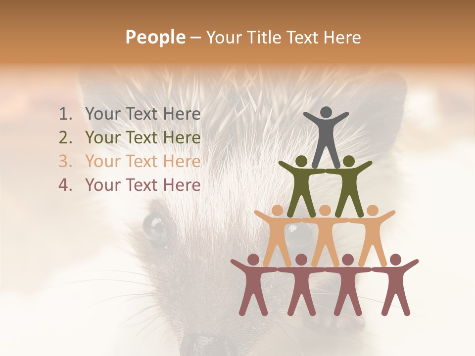 Unit Home Conditioner PowerPoint Template