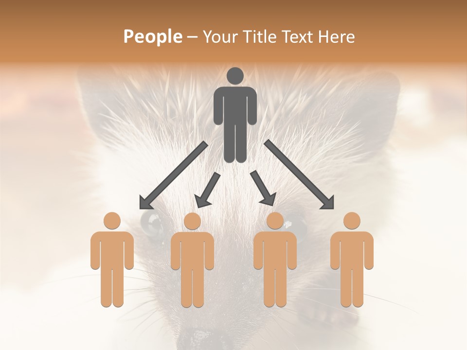 Unit Home Conditioner PowerPoint Template