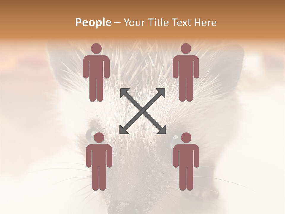 Unit Home Conditioner PowerPoint Template