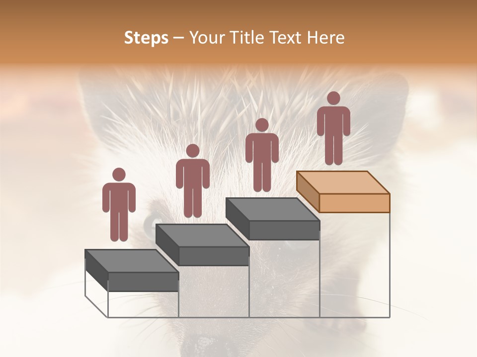 Unit Home Conditioner PowerPoint Template