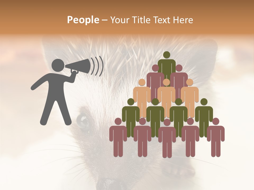 Unit Home Conditioner PowerPoint Template