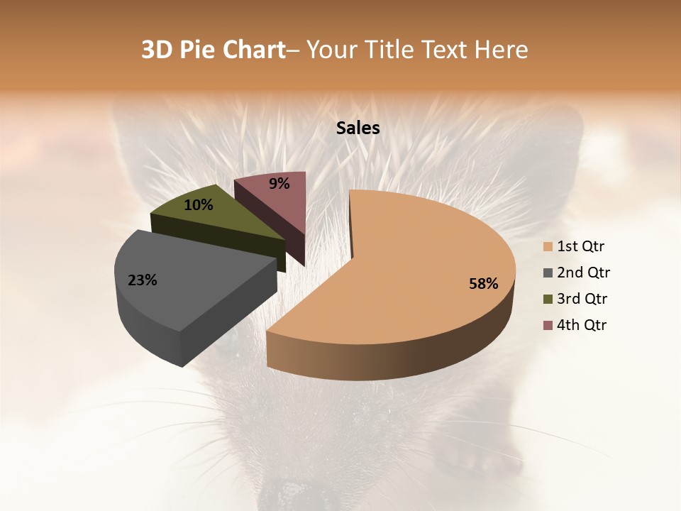 Unit Home Conditioner PowerPoint Template
