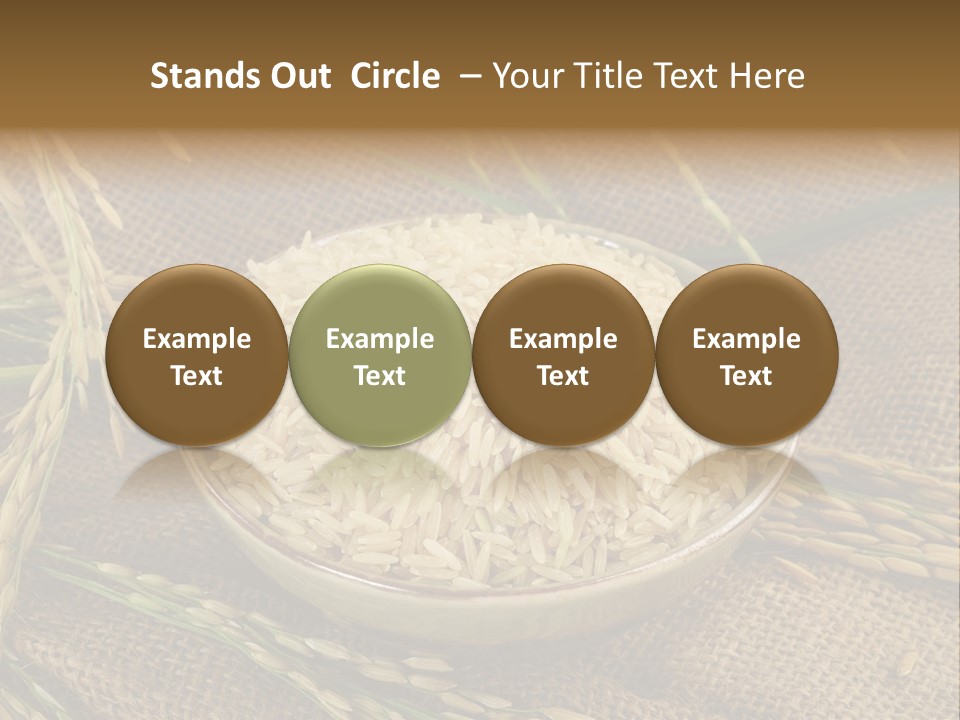 Cooling Equipment System PowerPoint Template