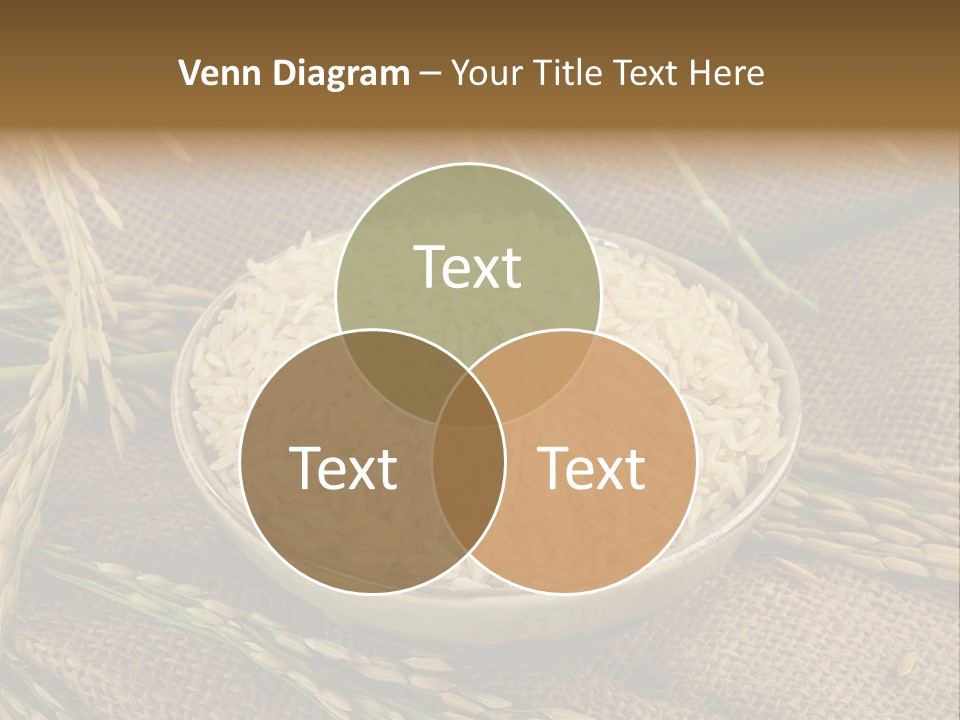 Cooling Equipment System PowerPoint Template