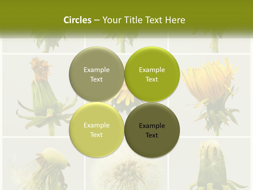 Supply Technology Heat PowerPoint Template