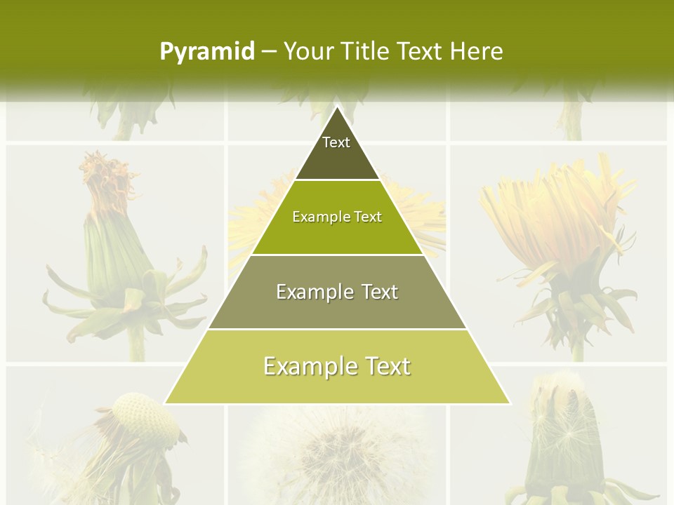 Supply Technology Heat PowerPoint Template