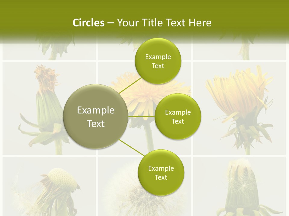 Supply Technology Heat PowerPoint Template