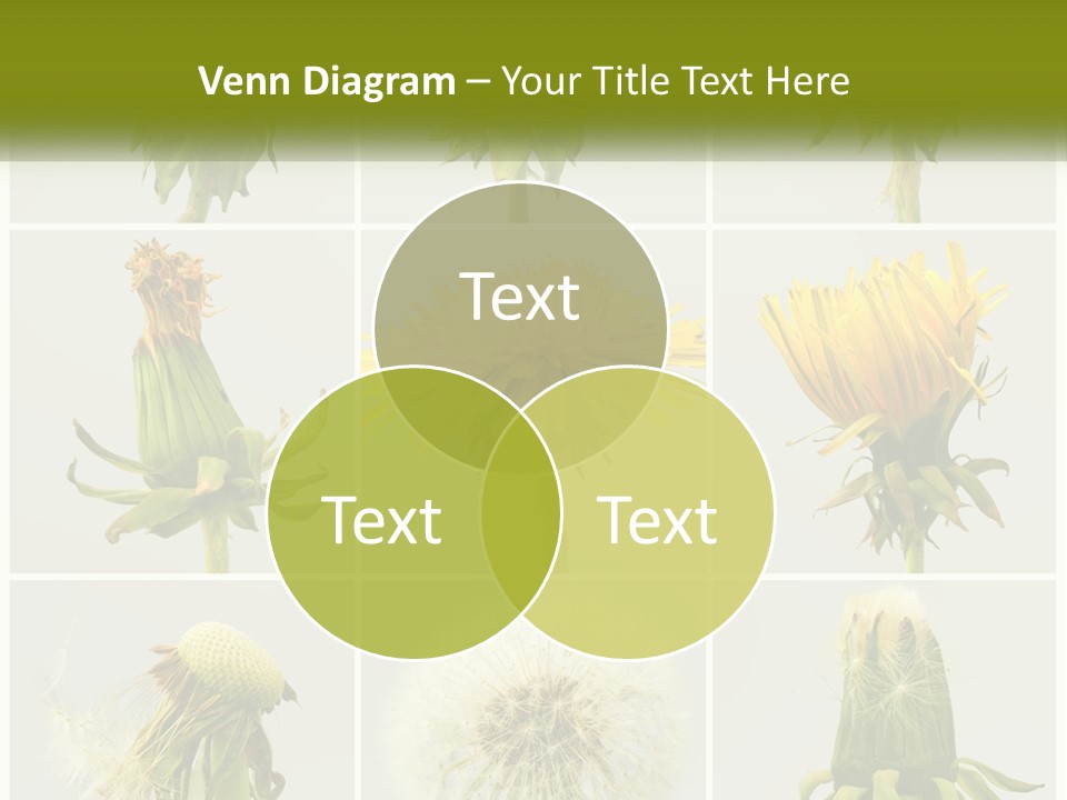Supply Technology Heat PowerPoint Template