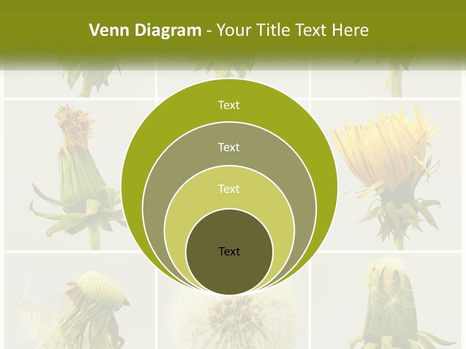 Supply Technology Heat PowerPoint Template