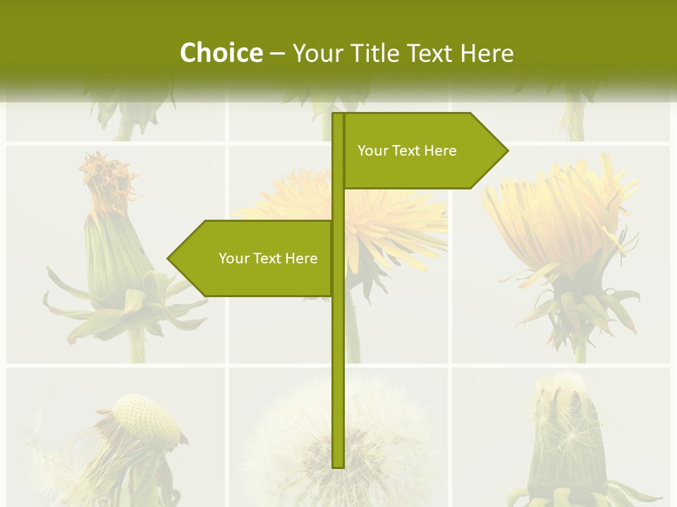 Supply Technology Heat PowerPoint Template