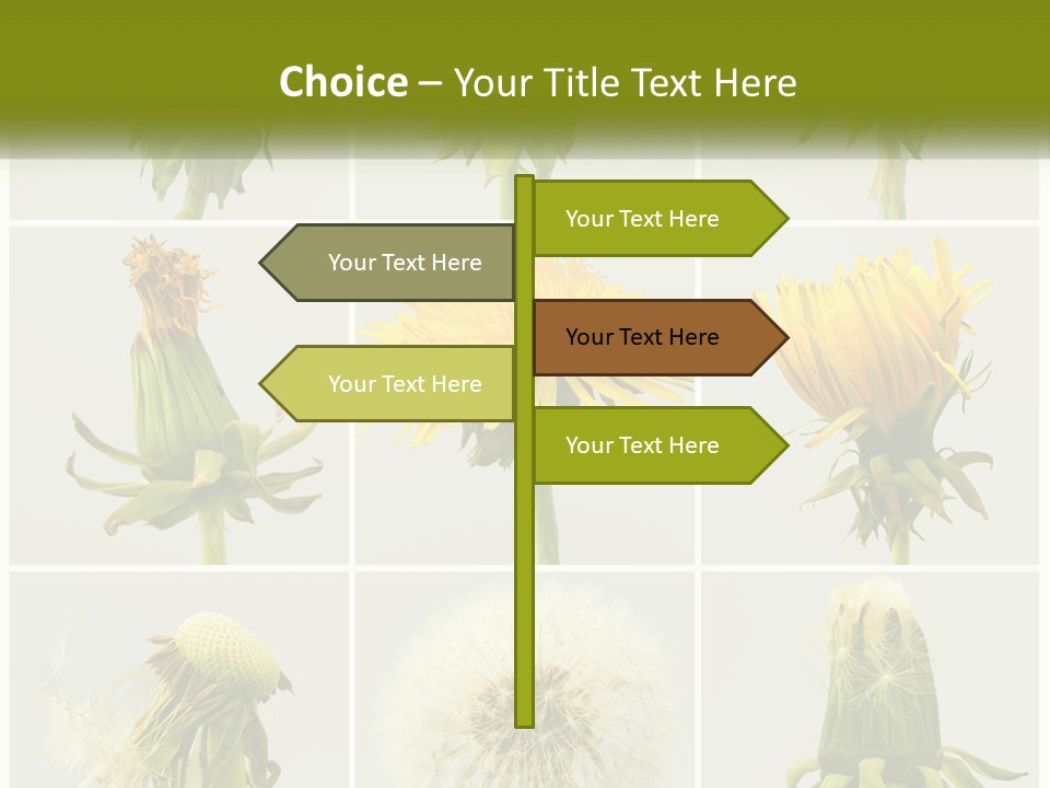 Supply Technology Heat PowerPoint Template