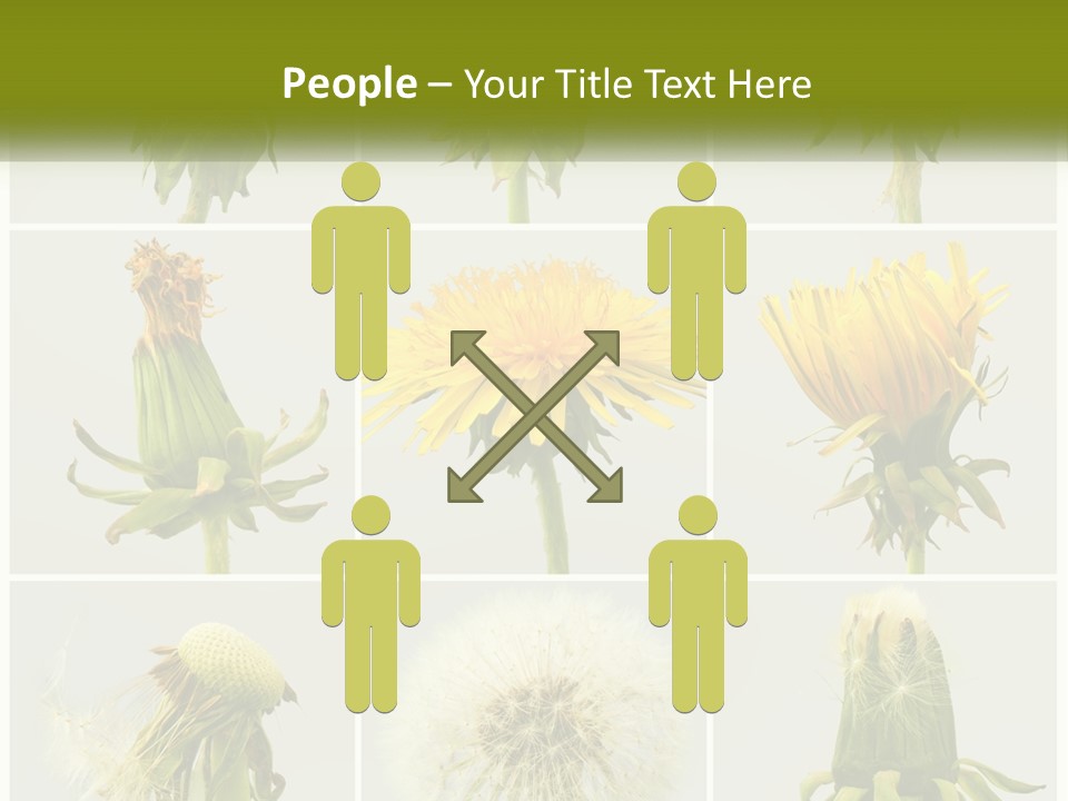 Supply Technology Heat PowerPoint Template