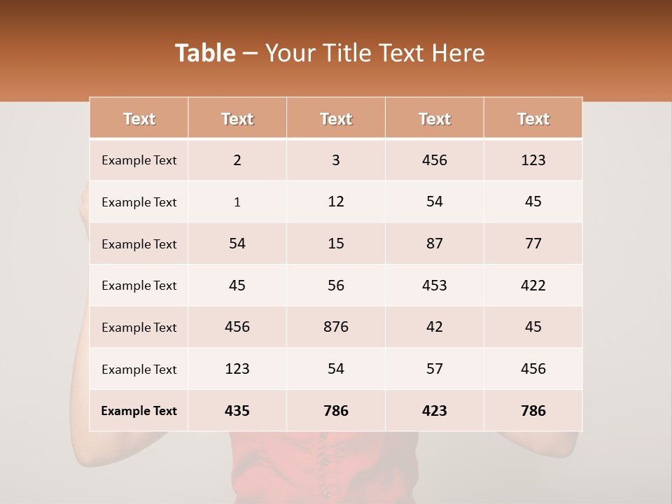 Heat Home Climate PowerPoint Template
