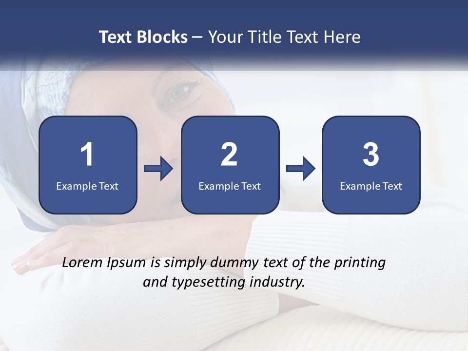 Switch Conditioner Industry PowerPoint Template