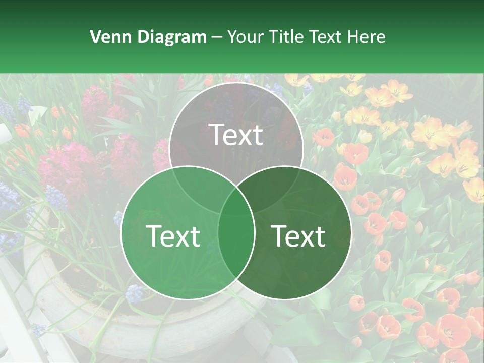 Cool White Ventilation PowerPoint Template