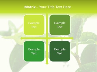 Climate Technology Condition PowerPoint Template