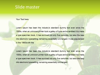 Climate Technology Condition PowerPoint Template
