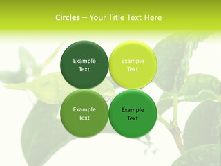Climate Technology Condition PowerPoint Template