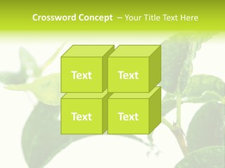 Climate Technology Condition PowerPoint Template