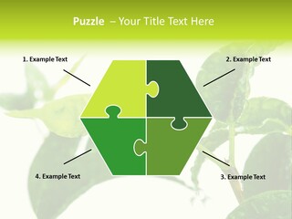 Climate Technology Condition PowerPoint Template