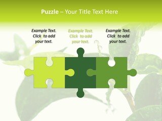 Climate Technology Condition PowerPoint Template