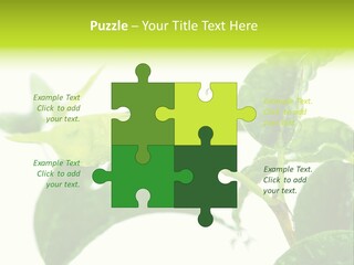 Climate Technology Condition PowerPoint Template