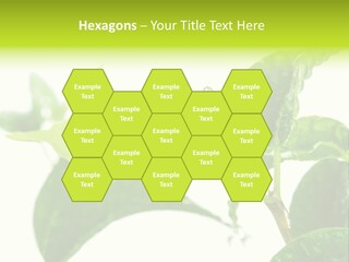 Climate Technology Condition PowerPoint Template