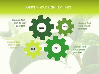 Climate Technology Condition PowerPoint Template