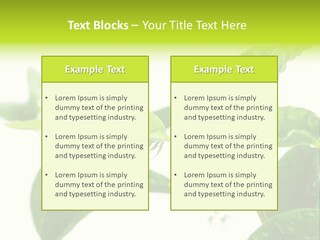 Climate Technology Condition PowerPoint Template
