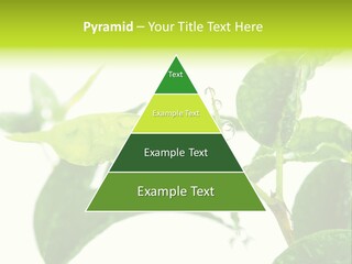 Climate Technology Condition PowerPoint Template