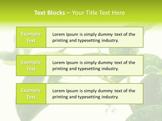 Climate Technology Condition PowerPoint Template