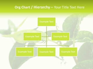 Climate Technology Condition PowerPoint Template