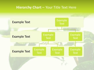 Climate Technology Condition PowerPoint Template